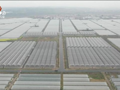 三农头条20240305
