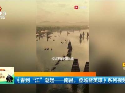 《春到“江”潮起——南昌，登场皆英雄》系列视频发布