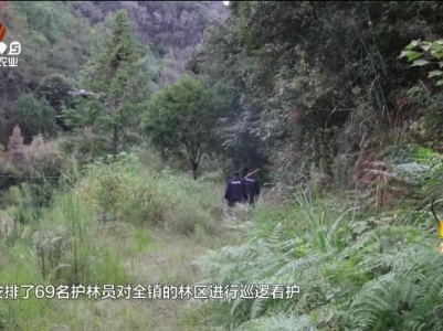 新闻晚高峰20240328