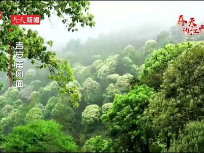 江西新闻联播20240311