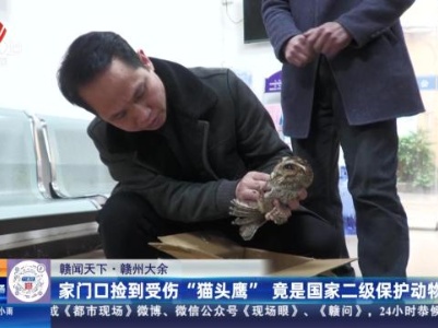 【赣闻天下】赣州大余：家门口捡到受伤“猫头鹰” 竟是国家二级保护动物