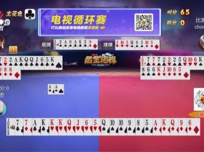 谁是赢家20240316