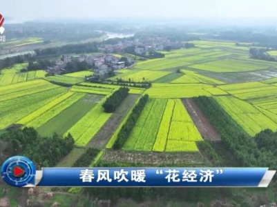 社会传真20240330 春风吹暖“花经济”