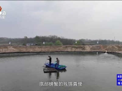 三农头条20240328