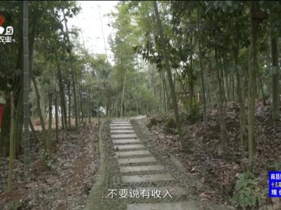 三农头条20240308