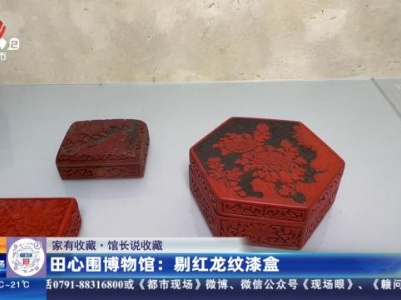 【家有收藏·馆长说收藏】田心围博物馆：剔红龙纹漆盒