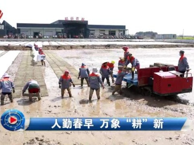 社会传真20240327 人勤春早 万象“耕”新