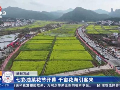 都市现场·午间版20240305