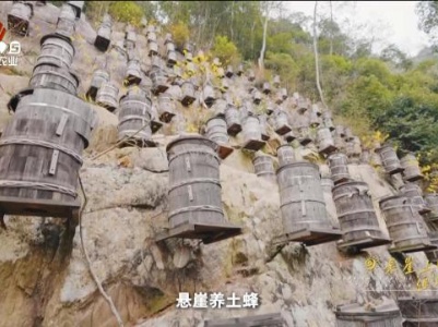 赣出精彩20240308