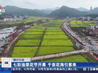 赣州石城：七彩油菜花节开幕 千亩花海引客来