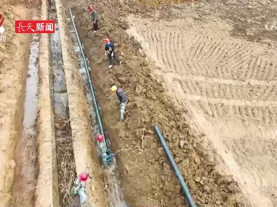 大小水管引水润田 破解农田灌溉难题