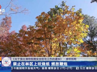 【《关于强化清明假期安全防范工作的通知》·清明假期】禁止在林区上坟烧纸 燃放鞭炮