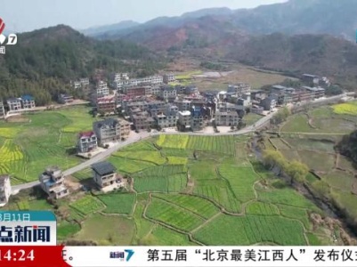 油菜花开美如画 “美丽经济”促增收