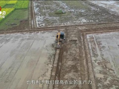 三农头条20240310