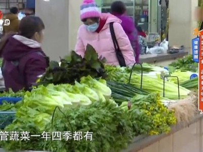 健康提醒——芽菜正当“食” 品尝春天味道