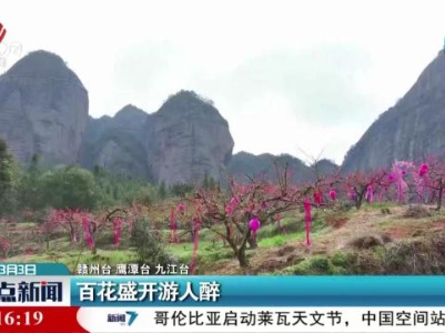 百花盛开游人醉