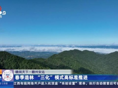 都市现场·午间版20240311