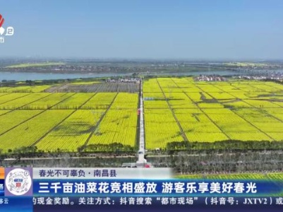【春光不可辜负】南昌县：三千亩油菜花竞相盛放 游客乐享美好春光