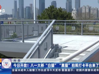 南昌：今日开放！八一大桥“白猫” “黑猫”拍照打卡平台来了