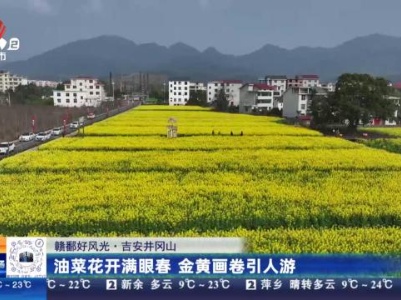 【赣鄱好风光】吉安井冈山：油菜花开满眼春 金黄画卷引人游