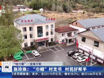 都市现场20240307