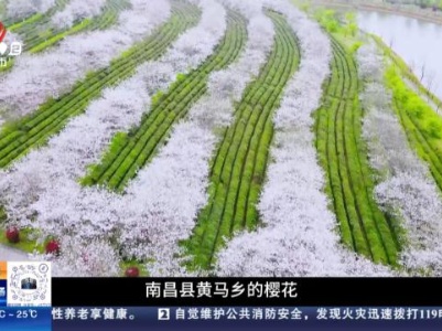 【与江西的100次乡遇】南昌：遇见春日之美