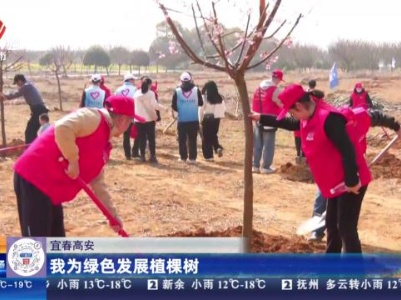 宜春高安：我为绿色发展植棵树