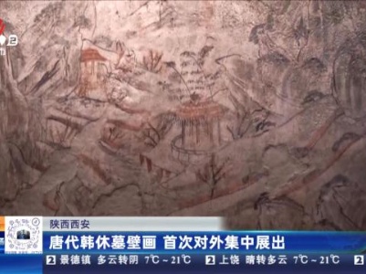 陕西西安：唐代韩休墓壁画 首次对外集中展出