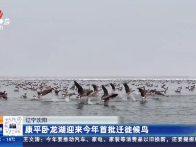 辽宁沈阳：康平卧龙湖迎来今年首批迁徙候鸟