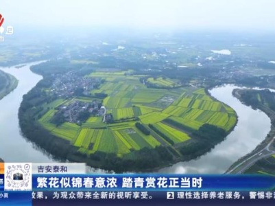 都市现场20240304