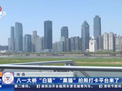 都市现场·午间版20240330