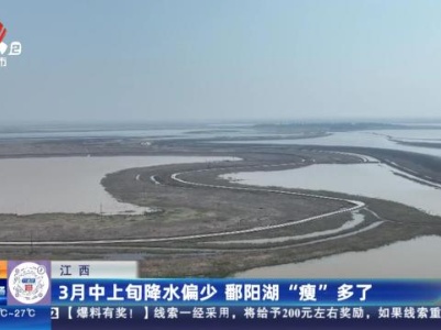 都市现场·午间版20240323