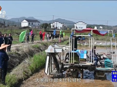 三农头条20240330