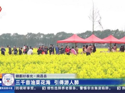 都市现场·午间版20240310