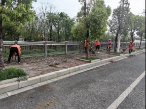 不惧恶劣天气,南昌县八一乡环卫工人及时清扫道路