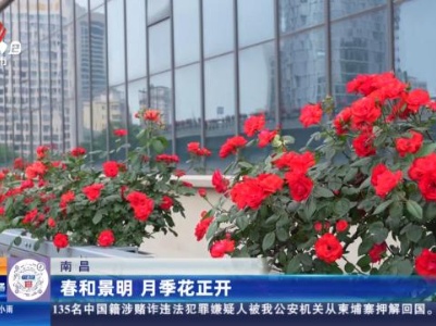 都市现场·午间版20240421