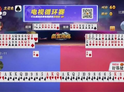 谁是赢家20240416