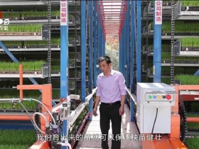 三农头条20240402