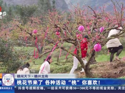 【赣闻天下】赣州龙南：桃花节来了 各种活动“桃”你喜欢！