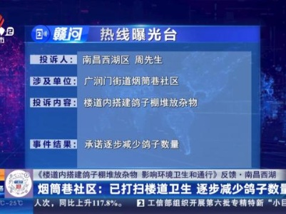 【《楼道内搭建鸽子棚堆放杂物 影响环境卫生和通行》反馈·南昌西湖】烟筒巷社区：已打扫楼道卫生 逐步减少鸽子数量