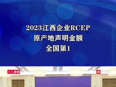 2023江西企业RCEP原产地声明金额全国第1