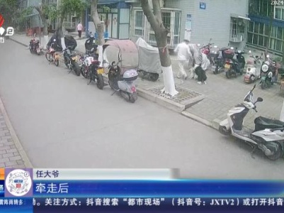重庆：宠物狗打架老人遭殃 如何处理产生分歧