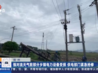 抚州：强对流天气致部分乡镇电力设备受损 供电部门紧急抢修