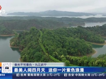 都市现场20240415