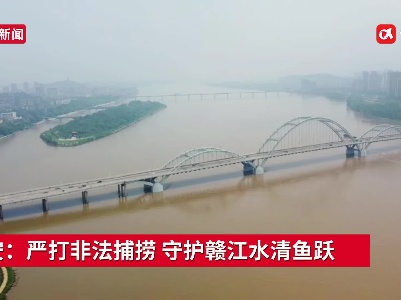 吉安：严打非法捕捞 守护赣江水清鱼跃