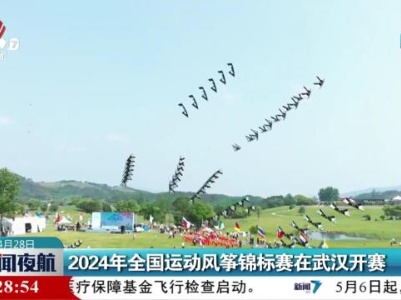 2024年全国运动风筝锦标赛在武汉开赛