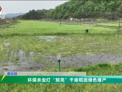 三农头条20240404