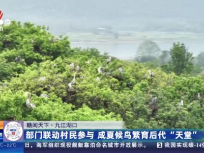 【赣闻天下】九江湖口：部门联动村民参与 成夏候鸟繁育后代“天堂”