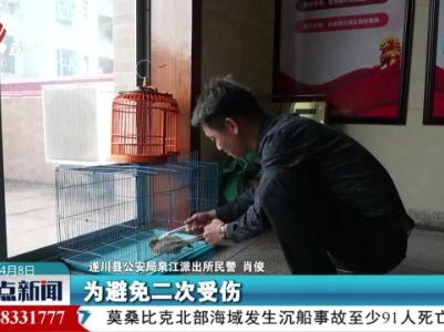 遂川：警民联手救助国家二级保护动物红隼