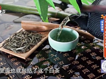 地宝当家20240405